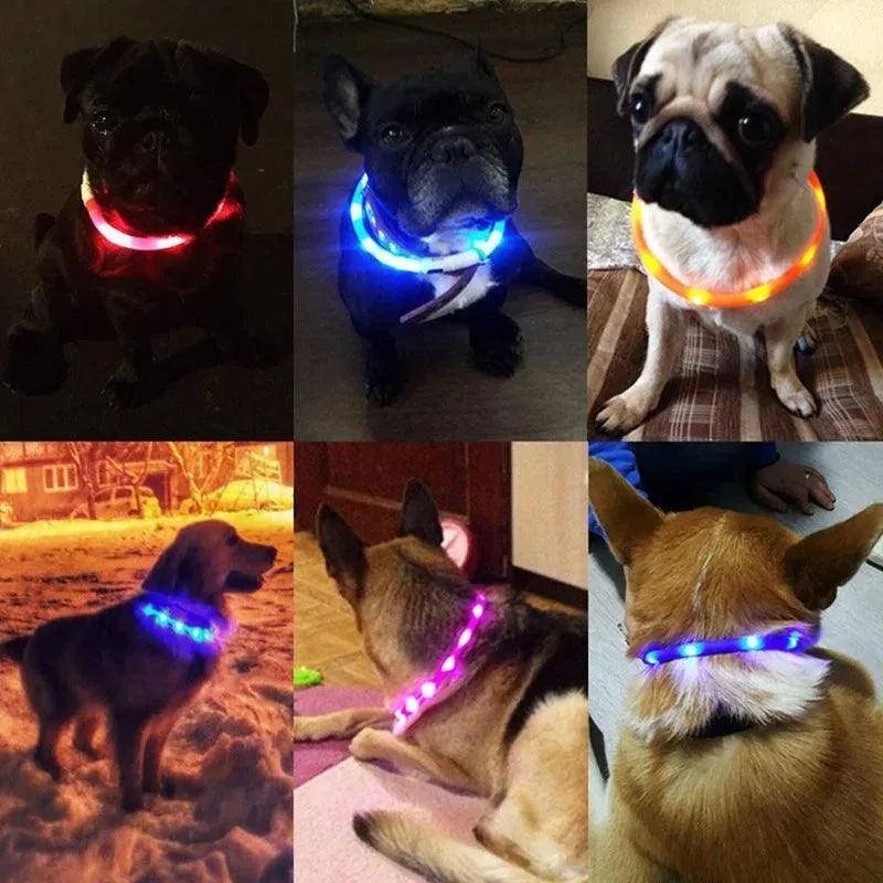 LED Dog Collar: Enhanced Night Safety & Visibility Gear for Pets
