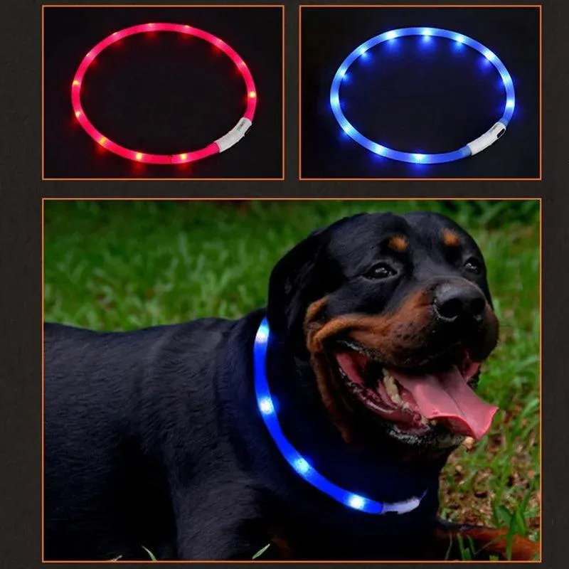 LED Dog Collar: Enhanced Night Safety & Visibility Gear for Pets