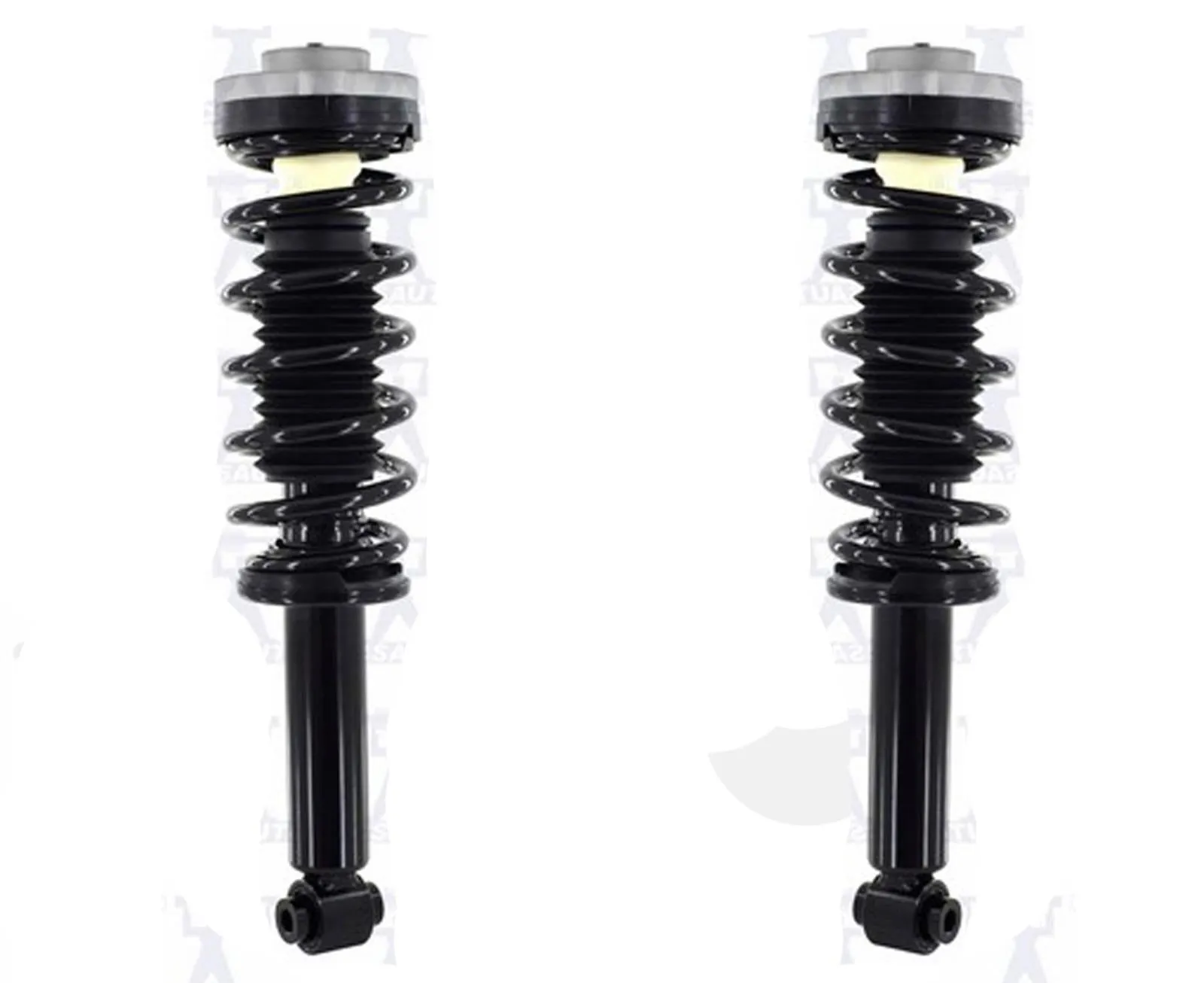 Rear Struts For 2013-2017 BMW X3 2.0L All Wheel Drive W/O Electronic Suspension