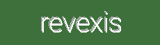 Revexis - High-Performance Car Upgrades for Style, Safety, and Speed